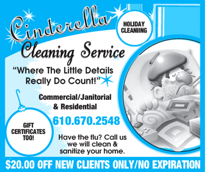 Holiday & Flu Cleaning