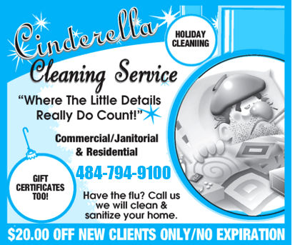 Holiday & Flu Cleaning